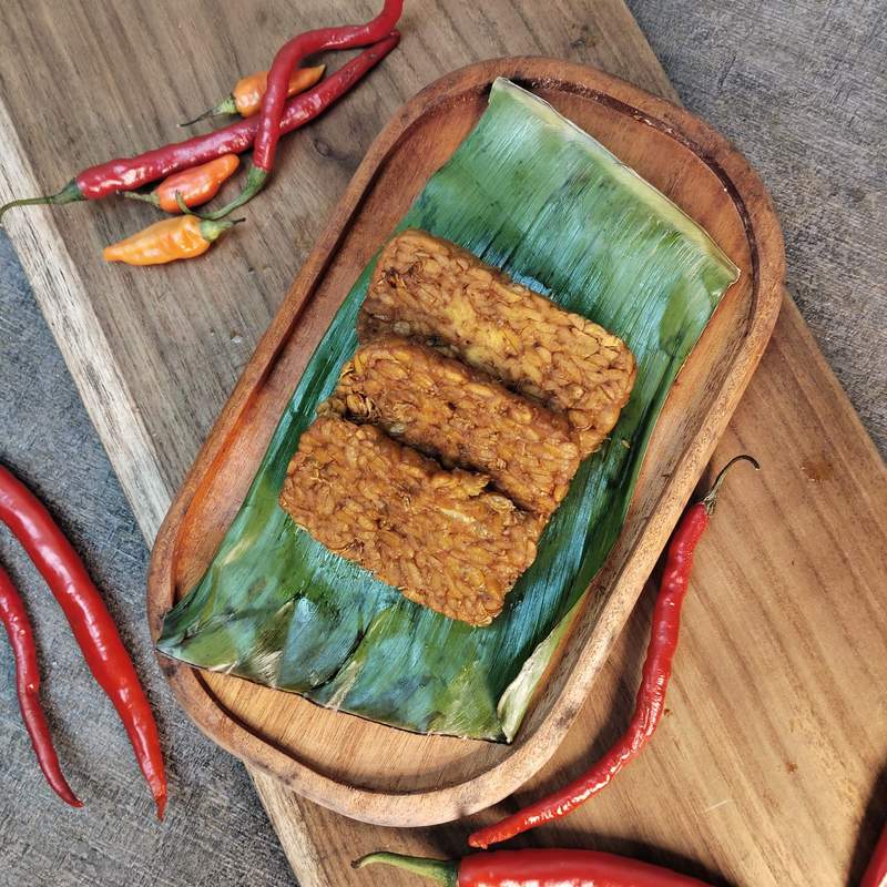 Tempe(3pcs)
